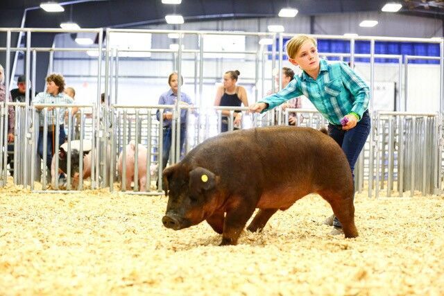 Erie Fair 1.jpg
